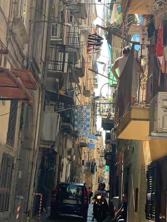 Il Basso Di Donna Assunta Apartment Naples